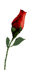 rosefcp.gif (9387 bytes)